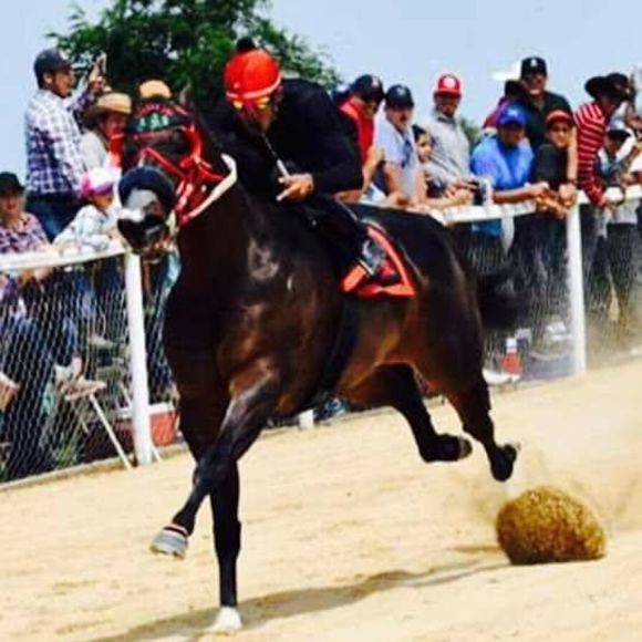 Meet your Posher, Daniel - Picture 1 of 1